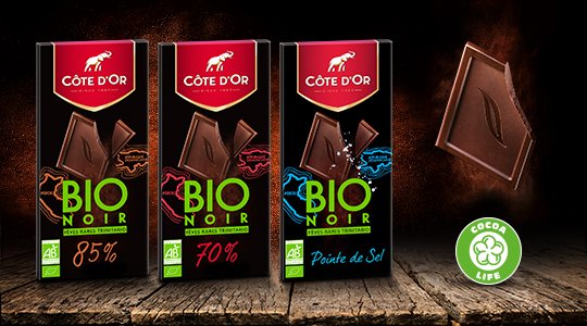 Côte d'Or votre marque engagée