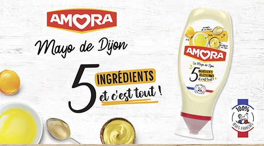 Mayonnaise 5 Ingrédients