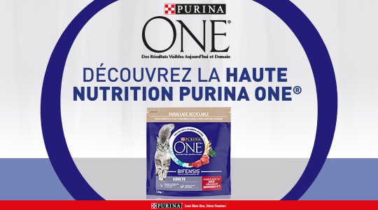 Découvrez Purina One® Chat