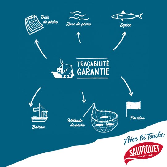 image-Le choix du thon Listao